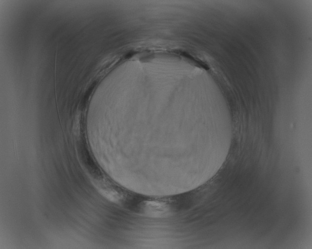 X0000080790167200701122157