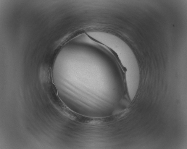 X0000080790168200701122157