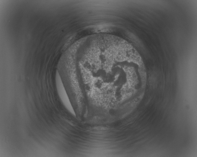 X0000080790169200701122157