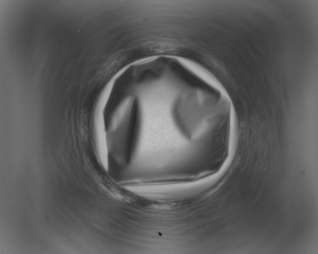 X0000080790170200701122157