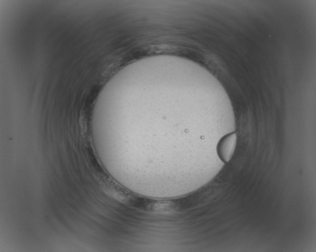 X0000080790173200701122157