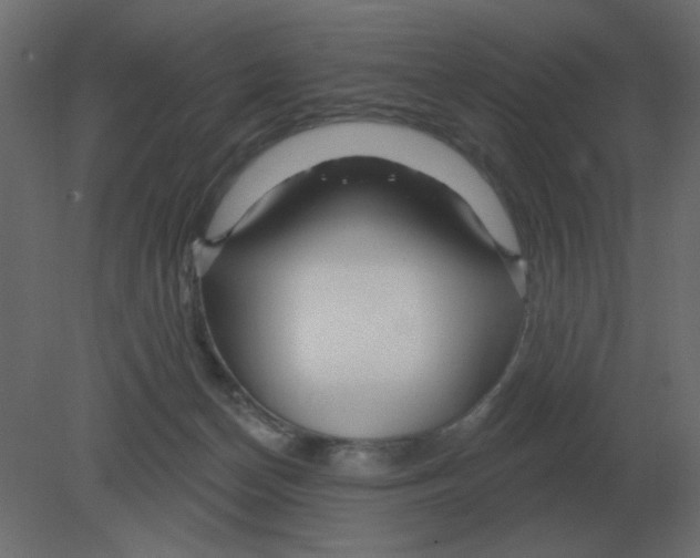 X0000080790174200701122157