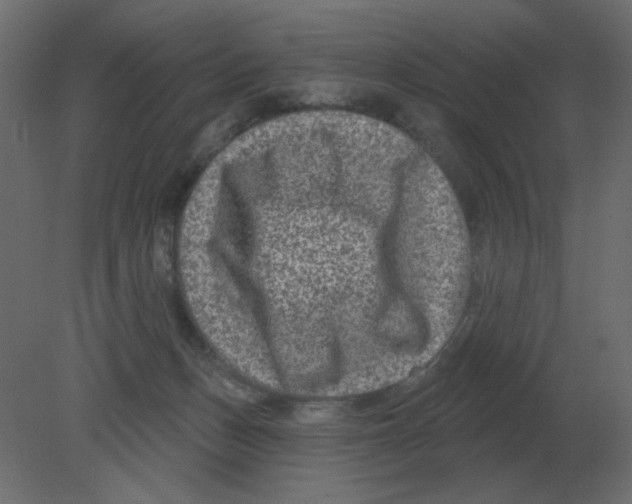 X0000080790175200701122157