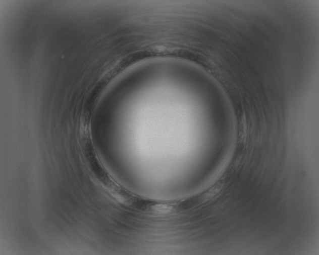 X0000080790176200701122157