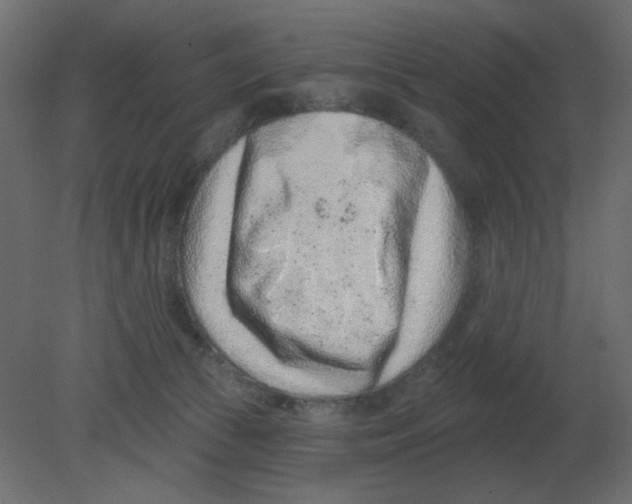 X0000080790177200701122157