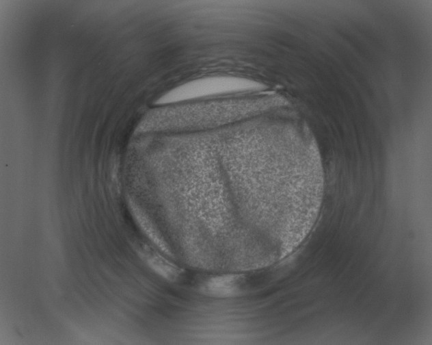 X0000080790178200701122157