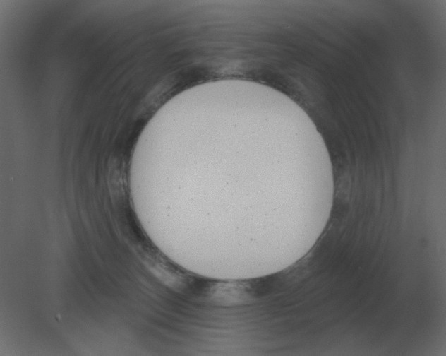 X0000080790179200701122157