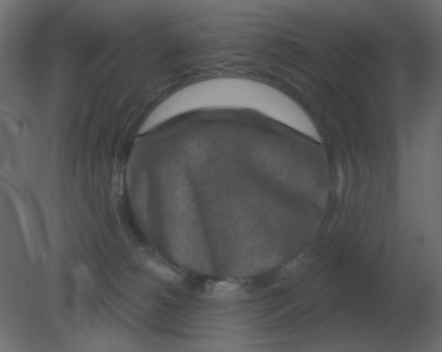 X0000080790180200701122157