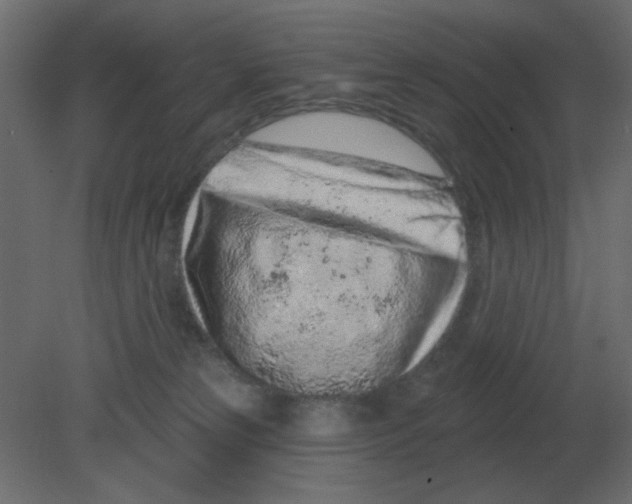 X0000080790181200701122157