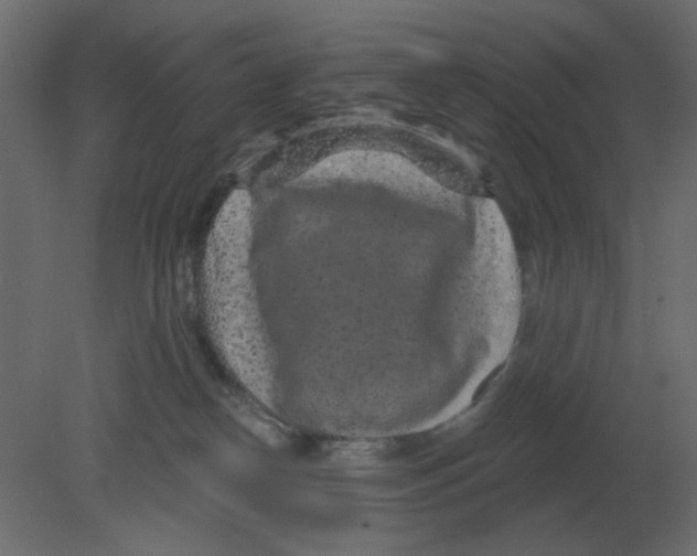 X0000080790182200701122157