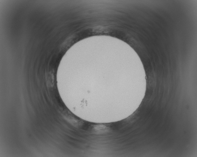 X0000080790183200701122157