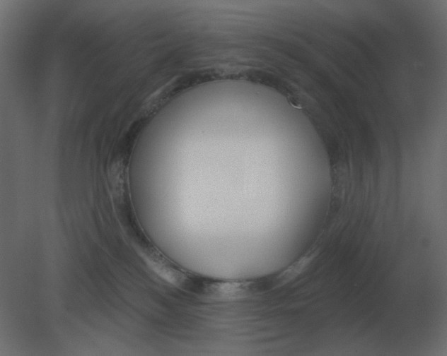 X0000080790184200701122157