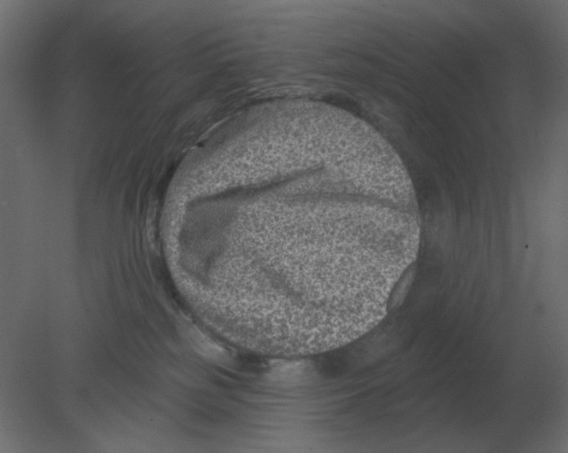 X0000080790185200701122157