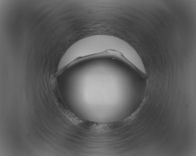 X0000080790186200701122157