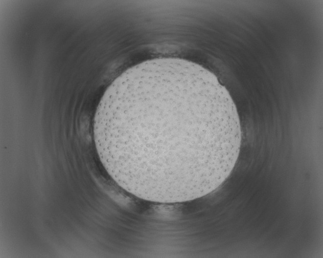 X0000080790187200701122157