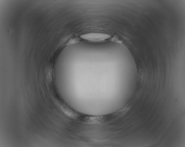 X0000080790188200701122157