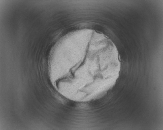 X0000080790189200701122157