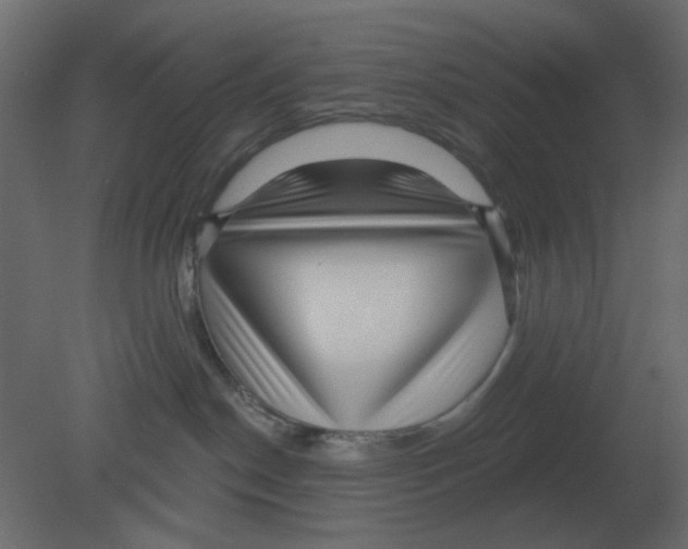 X0000080790190200701122157