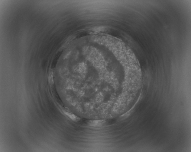 X0000080790191200701122157