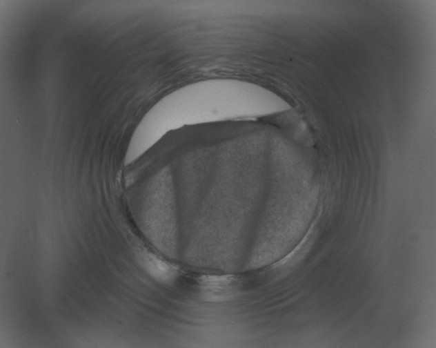 X0000080790192200701122157