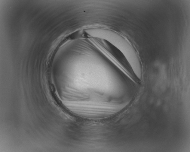 X0000080790193200701122157