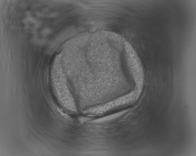 X0000080790194200701122157