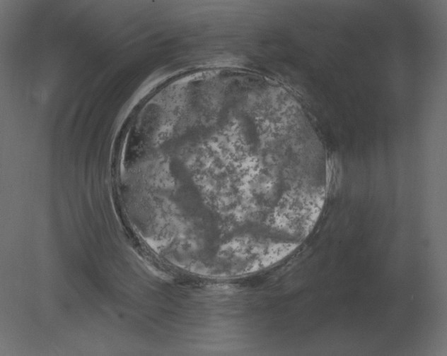 X0000080790195200701122156