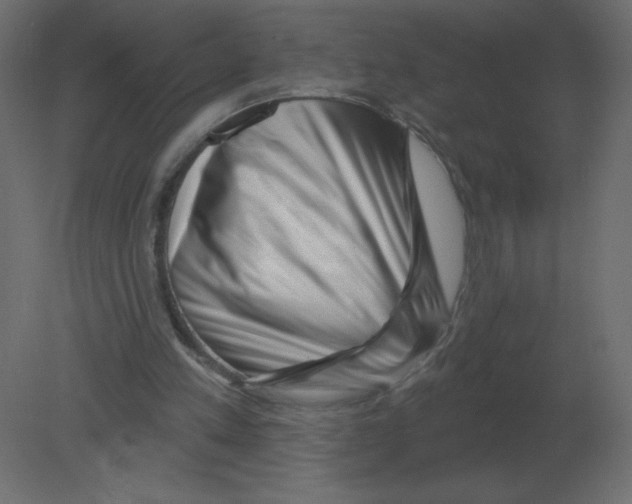 X0000080790197200701122156