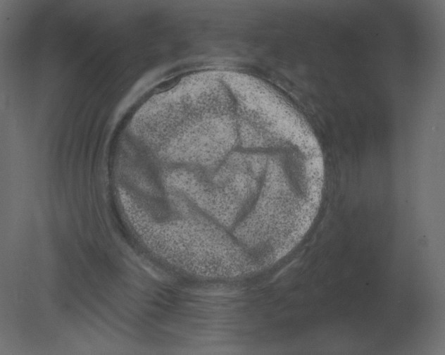 X0000080790198200701122156