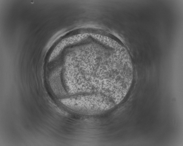 X0000080790199200701122156