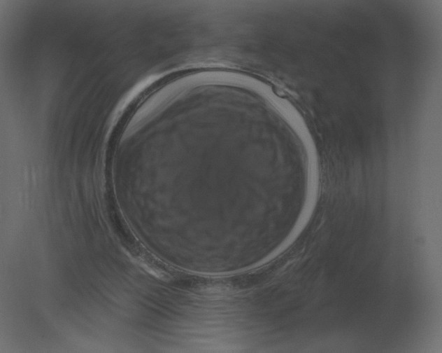 X0000080790200200701122156