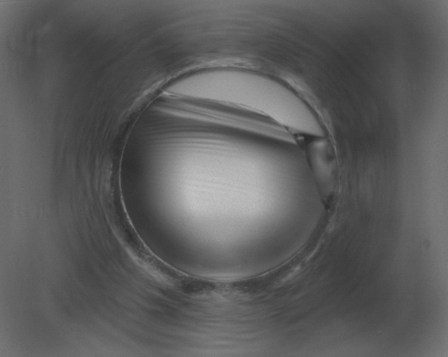 X0000080790201200701122156