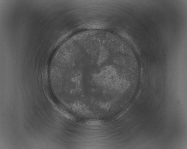 X0000080790202200701122156