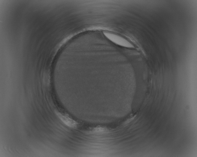 X0000080790204200701122156