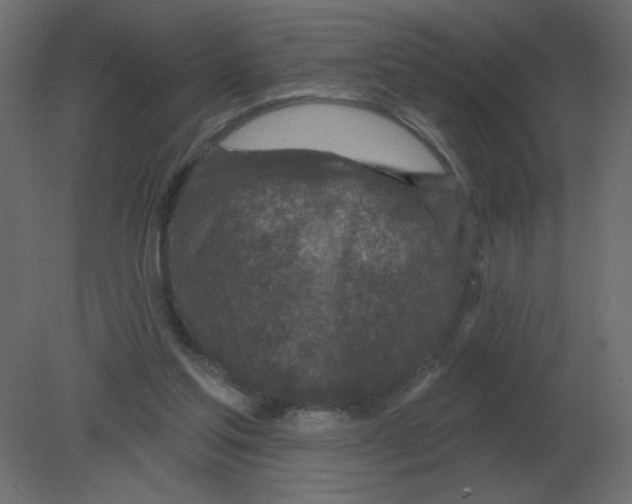 X0000080790205200701122156