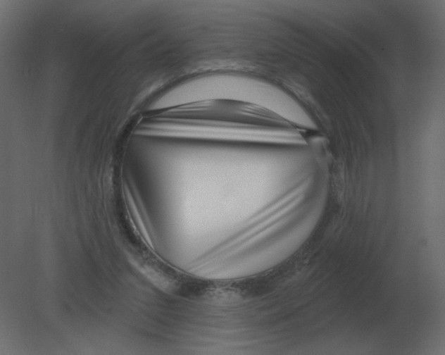 X0000080790207200701122156