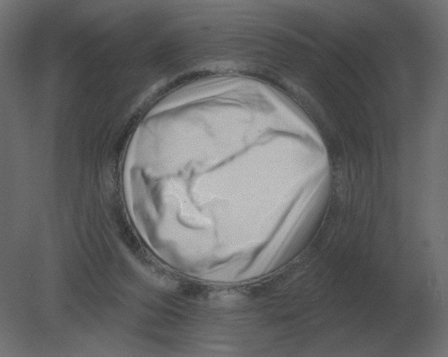 X0000080790208200701122156