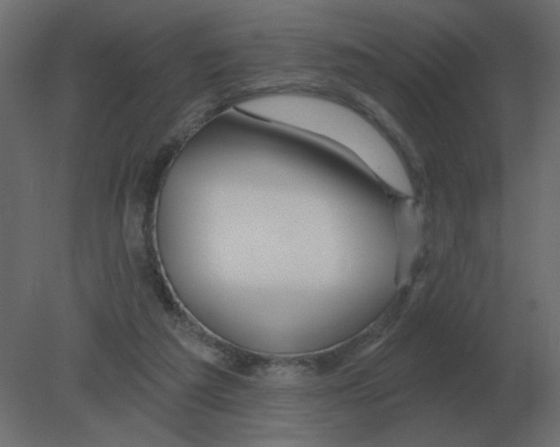 X0000080790209200701122156