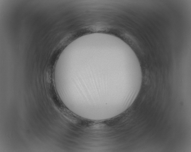 X0000080790210200701122156