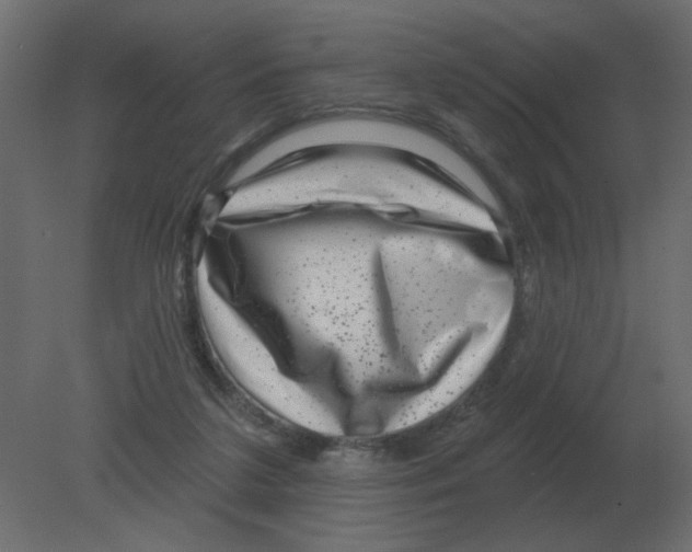 X0000080790211200701122156