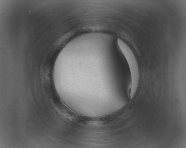 X0000080790212200701122156