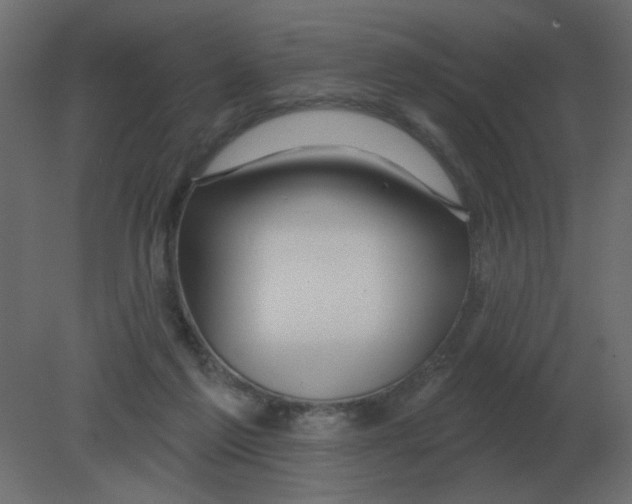 X0000080790213200701122156