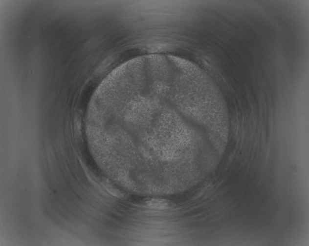 X0000080790214200701122156