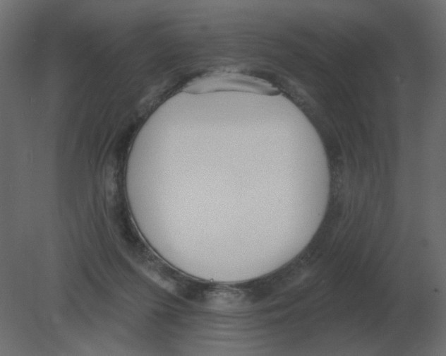 X0000080790215200701122156