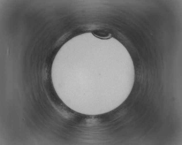 X0000080790216200701122156