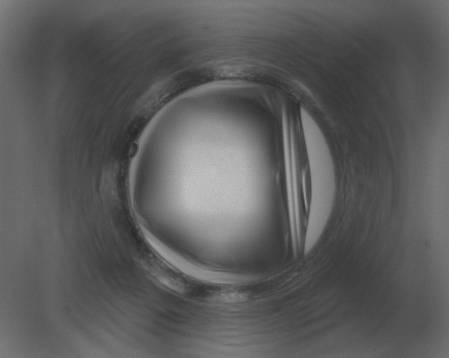 X0000080790217200701122156