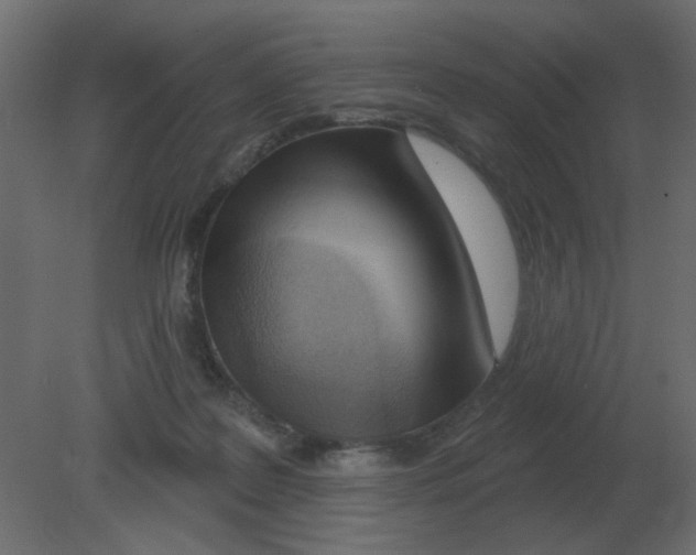 X0000080790219200701122156