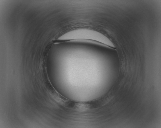 X0000080790221200701122156