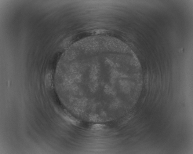 X0000080790222200701122156