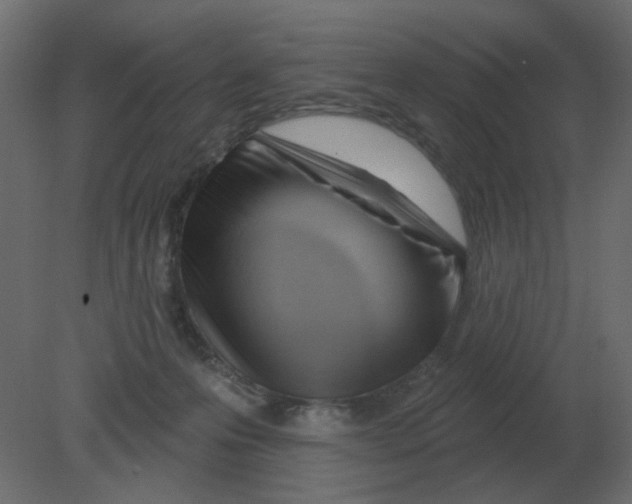 X0000080790223200701122156